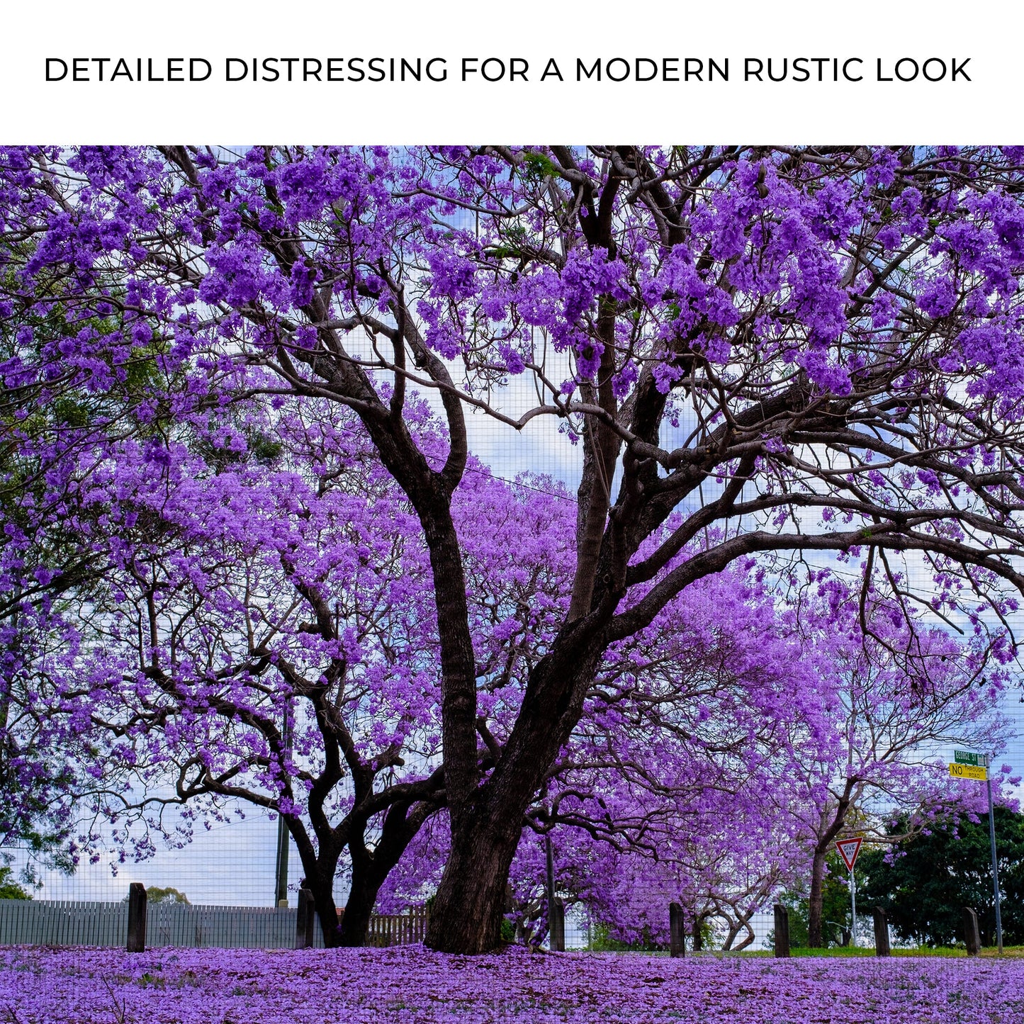 Jacaranda Trees Canvas Wall Art | Cozy Nature Home Decor