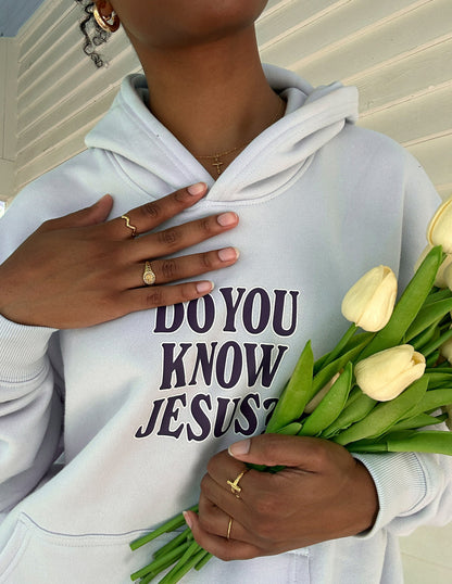Do You Know Jesus Unisex Hoodie - John 3:16 Christian Sweatshirt Gift