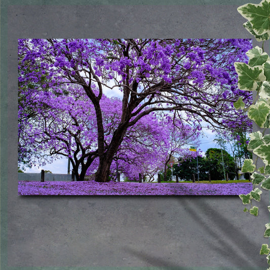 Jacaranda Trees Canvas Wall Art | Cozy Nature Home Decor