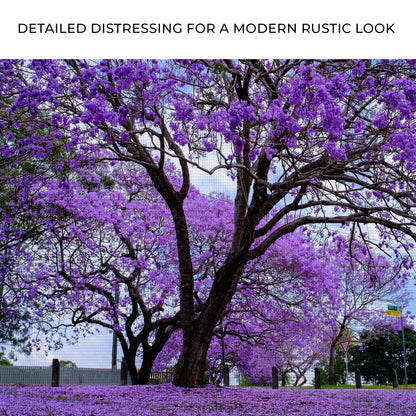 Jacaranda Trees Canvas Wall Art | Cozy Nature Home Decor